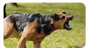 Screenshot_20231123_200912