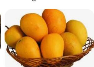 Screenshot_20240521_185420