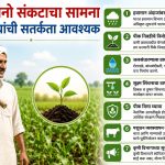 WhatsApp Image 2026-06-16 at 2.37.27 PM